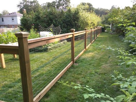 Cedar fence with pressure treated posts and 3 ft welded wire sandwiched between 1x4s along the top and 1x2s along the sides of the panels. WoodRx ultra stain, walnut color. Post caps from Home Depot. Backyard Landscaping Along Fence, Wire And Wood Fence, Landscaping Along Fence, Welded Wire Fence, Fence Gates, Cedar Stain, Yard Fence, Post Caps, Backyard Fence