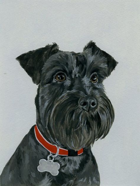 Black Schnauzer Schnauzer Drawing, Black Schnauzer, Schnauzer Art, Dog Portraits Art, Custom Portrait Painting, Canine Art, Schnauzer Dogs, Mini Schnauzer, Animals Artwork