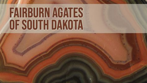 Fairburn Agates of South Dakota - State Gem Rockhounding Areas - RareGoldNuggets.com Fairburn Agate South Dakota, Fairburn Agate, South Dakota State, Gem Mining, Rock Hunting, Rapid City, Montana Agate, Travel Oklahoma, Circular Pattern