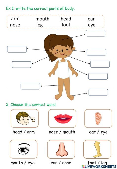 Parts Of Our Body Worksheet, Body Parts Worksheet For Grade 1, Body Parts Worksheet For Kids, Parts Of The Body For Kids Activities, My Body Worksheets For Kids, Parts Of Body For Kids, Part Of Body Worksheet, Parts Of The Body For Kids, Body Worksheets For Kids