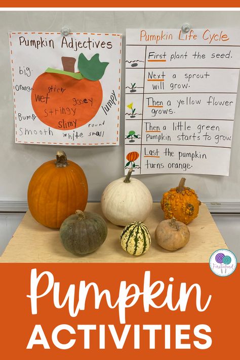 Third Grade Pumpkin Activities, Pumpkin Activities Grade 2, Pumpkin Activity First Grade, Pumpkin Taste Test Kindergarten, Pumpkin Life Cycle Lesson Plan, Pumpkin Carving Activities, From Seed To Pumpkin Activities, Pumpkin Science 1st Grade, Kindergarten Pumpkin Investigation