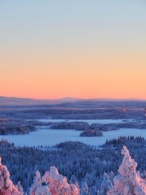 Sunrise at the ski resort I live at, Ruka Ski Resort, Finland. No editing done to the photo, i.e. the colors were literally that corgeous. 3456x4608 [OC] : EarthPorn Finland Landscape Photography, Ruka Ski Resort, Finland Wallpaper, Finland Landscape, Finland Photography, Finland Nature, Majestic Nature, Background Nature, Winter Lake