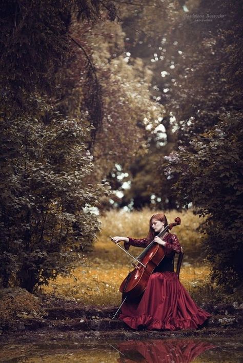 Cello Photoshoot, Orchestra Photography, Cello Photo, Cello Art, Cello Photography, Violin Photography, Fairy Music, Live Photography, Musician Photography