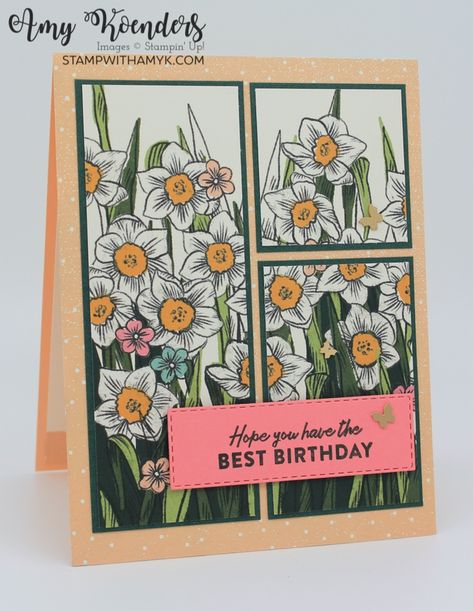 Daffodil Cards, Daffodil Craft, Dsp Cards, Spring Cards, Designer Series Paper, Up Book, Flower Stamp, June 2022, Stamping Up Cards