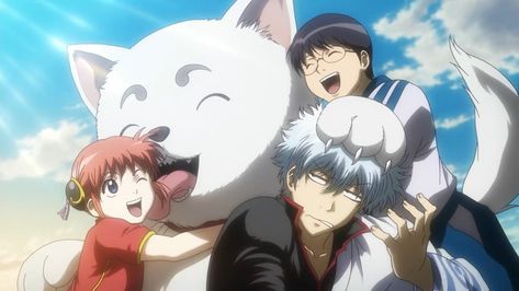 #Anime #Gintama Gintoki Sakata Kagura (Gintama) Sadaharu (Gintama) Shimura Shinpachi #1080P #wallpaper #hdwallpaper #desktop Best Comedy Anime, Gintama Funny, Gintama Wallpaper, One Piece Episodes, Comedy Anime, Gin Tama, Anime Version, Japan Anime, Anime Shadow