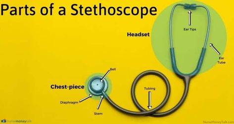 An image of the different parts of a stethoscope labeled. Stethoscope Parts, Best Stethoscope, Nurse Money, Ear Tubes, Littmann Cardiology, Littmann Stethoscope, Heart Sounds, Medical Office, Money Talks