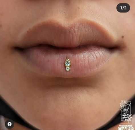 The Ashley Piercing: Your Guide to Getting One! Facial Dermal Piercing, Dermal Piercing Jewelry, Ashley Piercing, Hypertrophic Scars, Lip Piercing Jewelry, New Piercing, Lip Stud, Pretty Ear Piercings, Face Piercings