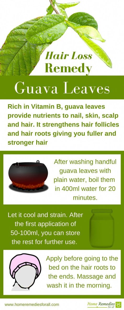 Guava leaves are very effective home remedy to stop hair loss and to regrow lost hair. #hairlossremedywomen Guava Leaves For Hair, Regrow Lost Hair, Guava Leaves, Regrow Hair, Diy Hair Care, Lost Hair, Hair Remedies, Thinning Hair, Roots Hair