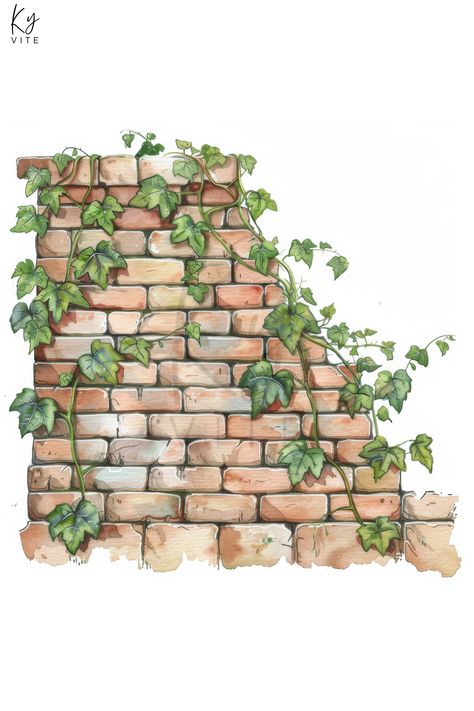 12 Watercolor Brick Wall and Vines Clipart, Printable Vintage Hand-Painted Art for Crafting & Design Watercolour Brick Wall, How To Paint Ivy Vines Easy, Picket Fence Drawing, Brick Watercolor, Brick Wall Clipart, Vine Drawing, Growing Vines, Nature Watercolor, Cat Poster