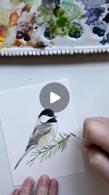 Emily Lex on Instagram: "I’ve been working on a few new illustrations for the Christmas season and this little chickadee is one of them!  A few things about this painting (and my painting style in general):  1. I use a photo for reference. It’s off to the side of the video, but it’s there. I need it to figure out how to sketch, how to shade, how to do proportions. There’s no shame in referencing a photo.  2. I paint in lots of layers, building up color, texture, contrast as I go. The paintings start so dull (because  I start with light colors first!) and as the darker shades are added, the artwork comes to life. That’s why watching to the end of the video is so satisfying.  3. I like painting small. I cut a piece of watercolor paper down to 5.5 x 4.25.   4. Sketching this birdie took me 4 Watercolor Chickadee Tutorial, Watercolor Chickadee Paintings, Watercolor Christmas Cards Tutorial How To Paint, Christmas Watercolor Tutorial, Chickadee Drawing, Watercolor Birds Tutorial, Christmas Watercolors, Hand Painted Christmas Cards, Chickadee Art