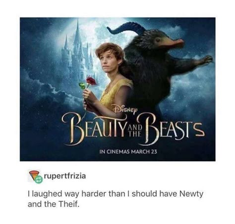 Niffler Fantastic Beasts, Flipped Movie, Beast Movie, Teen Wolf Memes, Yer A Wizard Harry, Newt Scamander, Harry Potter Jokes, Harry Potter Marauders, Harry Potter Obsession