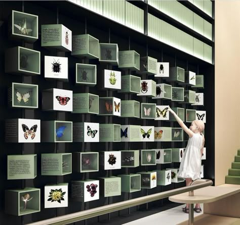 Gallery Wall Images, Exhibit Design Inspiration, Office Reception Design, Museum Exhibition Design, Jewelry Store Design, Memory Wall, Joinery Design, Interactive Display, Museum Displays