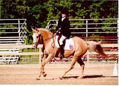 Showing can be nerve-racking, especially for the first time. Here is some advice that I hope will help! Dressage Tests, First Horse, Horse Reference, Farm Show, Stock Tie, Horse Dressage, Horse Trainer, Horse Show, Kinds Of Clothes