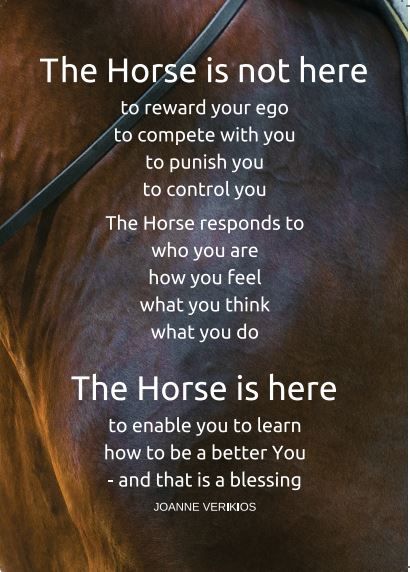 "The Horse Is Not Here" by Joanne Verikios (original bay background) Equine Quotes, Inspirational Horse Quotes, Horse Riding Quotes, Equestrian Quotes, Cowboy Quotes, Cowgirl Quotes, Riding Quotes, Horse Therapy, Horse Inspiration