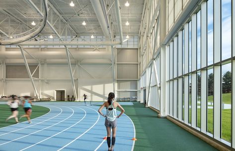 Hopkins Architects, Colby College Sports Complex, Massachusetts, USA Sports Training Facility, Hopkins Architects, Sports Facility Architecture, Colby College, Architecture Journal, Athletic Center, Auditorium Design, Athletics Track, Architecture Program