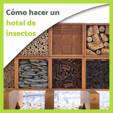 Bee Keeping, Hotel