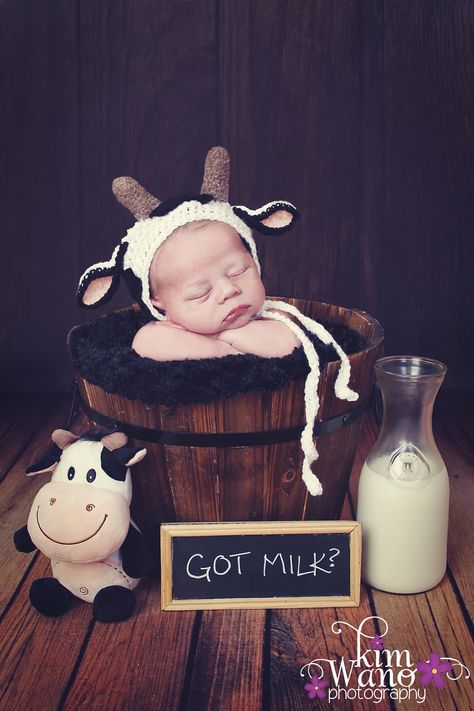 Newborn Photography; Calf; Cow; Kansas Photographer; Wano Photography Cow Hat, Cow Outfits, Foto Newborn, Adorable Newborn, Brown Cow, Crochet Cow, Foto Baby, Newborn Shoot, Baby Cows