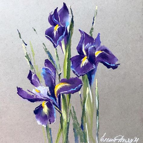 Elena (@lenokdih) • Photos et vidéos Instagram Oil Pastel Iris, Chalk Pastel Art, Soft Pastels Drawing, Bouquet Painting, Painting Purple, Soft Pastel Art, Mini Bouquet, Pastel Artwork, Watercolor Pictures