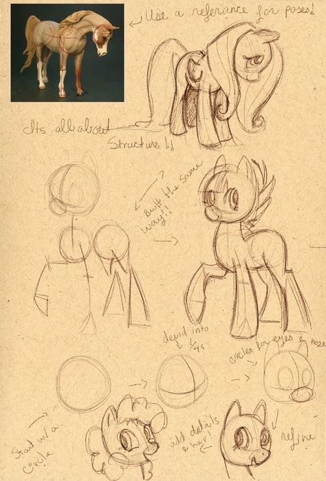 Pony Anatomy, Mlp Reference, Mlp Drawing, Pony Base, Mlp Base, Mini Tutorial, My Little Pony Wallpaper, Drawing Examples, Pony Art