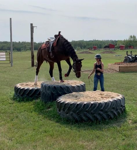 Homemade Horse Obstacles, Equine Obstacle Course Ideas, Horse Trail Course, Diy Horse Trail Course, Mountain Trail Horse Obstacles, Horse Training Obstacles, Horse Training Facility, Trail Obstacles For Horses, Horse Obstacle Course Ideas Diy