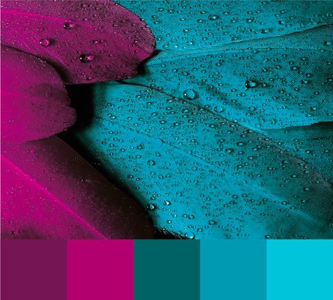 I love this bright and cheerful magenta, burgundy, green and blue color palette - perhaps for a more traditional brand that wants a modern and friendly twist?   #brandcolor #colorinspiration #colorpalette Teal Fuchsia Color Palette, Viva Magenta Colour Palette, Magenta Teal Color Palette, Majenta Color Pallete, Turquoise And Fuschia, Dark Magenta Color Palette, Fusha Color Palette, Teal And Magenta Color Palette, Blue Magenta Color Palette