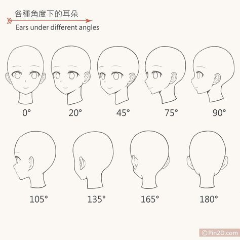 Hand On Head Reference, Back Of Head Reference, Muscle Face, Anime Face Shapes, Anime Back, Reference Anime, Head Reference, Hand On Head, Back Of Head