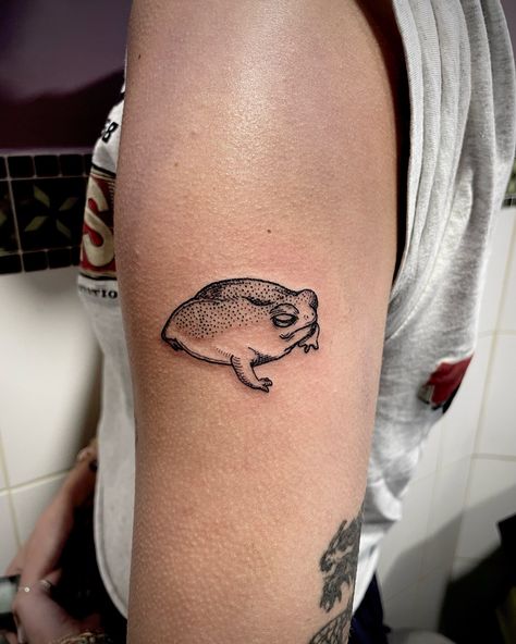 A rain frog called Greg Thank you Mel! DM/email me for appointments. April diary open! . . . . . #tattoo #nationalgeographic #illustration #vintageillustration #engraving #engravingtattoo #scientificillustration #frog #frogtattoo #blackwork #ukengravers #ukengravingtattoo #femaletattooer #londontattoo #rainfrog Dainty Frog Tattoo, Rain Frog Tattoo, Moon Eye Tattoo, Open Tattoo, Rain Frog, Mushroom Tattoo, Frog Tattoo, Engraving Tattoo, Mushroom Tattoos