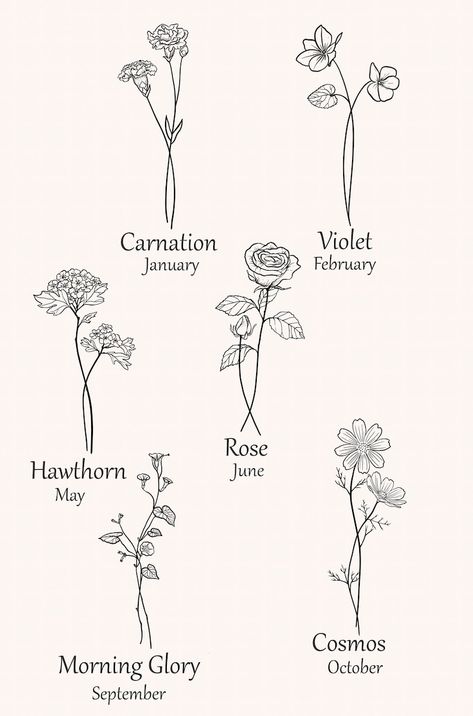 Violet And Cosmos Flower Tattoo, Cosmos And Rose Tattoo, Carnation And Cosmos Flower Tattoo, Carnation And Rose Flower Tattoo, Violet Tattoo Flower Birth Month, Morning Glory Flower Tattoo Design, Rose And Cosmos Flower Tattoo, Violet And Rose Flower Tattoo, Morning Glory And Rose Tattoo