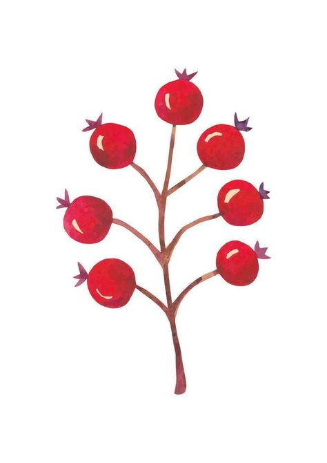 Watercolor red autumn berries branch. Hand drawn. Cranberry Drawing, Cranberry Illustration, Cranberry Branch, A6 Bujo, Autumn Berries, Red Autumn, Vector Character Design, Watercolor Red, Vector Character