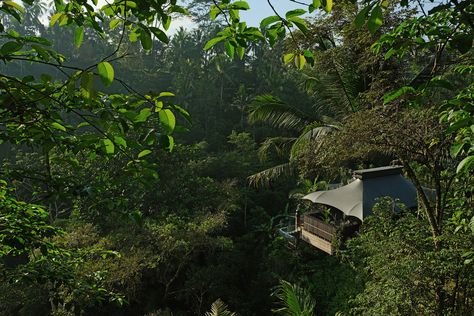 Capella Ubud, Bali Accommodation, Beachside Bungalow, Four Season Tent, Luxury Wellness, Glamping Resorts, Bali Vacation, Wellness Hotel, Luxury Glamping