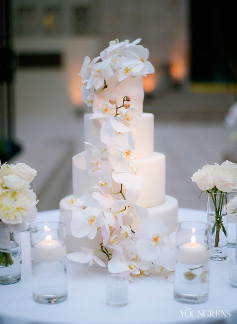 Wedding Cake Orchid Flowers, Wedding Cake With Orchid Flowers, Orchid Wedding Table Centerpieces, Orchid Flower Wedding Decoration, Orchids On Cake, Wedding Cakes Orchids, Orchid Themed Wedding, Orchid Cake Wedding, White Orchid Wedding Cake