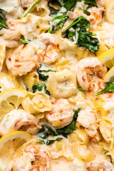 Shrimp And Chicken Tortellini, Shrimp And Tortellini Recipes, Shrimp Tortellini Recipes, Shrimp Tortellini, Lemon Garlic Cream Sauce, Popular Pasta Recipes, Cheese Tortellini Recipes, Tortellini Recipe, Seafood Feast