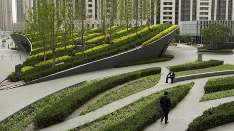 Chinese Plants, Chengdu, Plant Design, Urban Design, Open Space, Landscape Architecture, Water Features, Honda Civic, Landscape Design