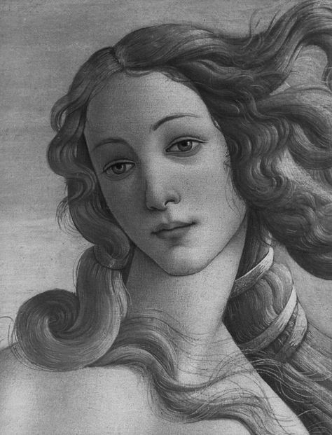 Uffizi Gallery Florence, Aphrodite Painting, Aphrodite Art, Black In White, Aphrodite Goddess, Birth Of Venus, Italy Tuscany, Uffizi Gallery, Charcoal Art