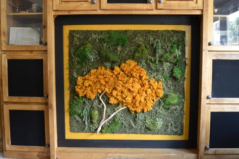 The after: Yellow moss tree in black and gold frame. How to make a DIY moss wall art statement piece. How I turned my mom's entertainment center hole into a (preserved) living wall. Moss Wall Diy, Moss Frame Diy, Moss Art Diy, Diy Moss Wall Art, Diy Moss Wall, Living Moss Wall, Wall Murals Painted Diy, Landscape Bushes, Preserved Moss Wall Art