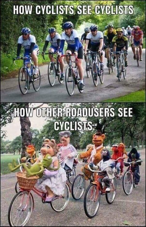 Cycling Memes, Bike Humor, I Want To Ride My Bicycle, Cycling Photos, Moto Guzzi, Biking Workout, Funny Graphics, Workout Gear, I Laughed