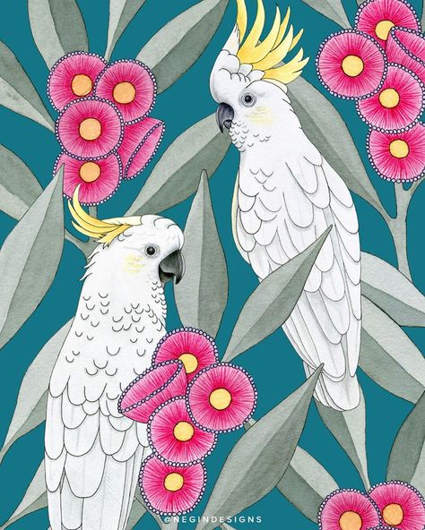 Negin Maddock on Instagram: “Has anybody ever had a paper cut from a manilla folder? They seriously hurt! 😆 Sulphur-crested cockatoos amongst the flowering gums. Print…” Flora And Fauna Art, Gum Leaves, Australian Birds, Australian Native, Botanical Watercolor, Australian Art, Bird Drawings, Art And Illustration, Watercolor Bird