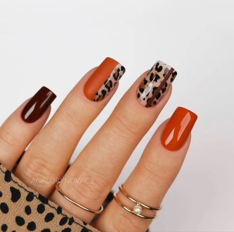 Leopard Nail Designs, Cheetah Nail Designs, Orange Nail Designs, Cheetah Nails, September Nails, Fall Nail Art Designs, Leopard Print Nails, Leopard Nails, Animal Print Nails