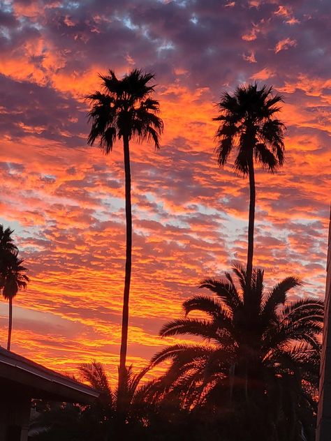 #Phoenix #Arizona #Sunset Arizona Aesthetic Pictures, Phoenix Arizona Aesthetic, Phoenix Arizona Sunset, Dream Roadtrip, Phoenix Aesthetic, Aesthetic Arizona, Az Sunset, Downtown Phoenix Arizona, Arizona Aesthetic