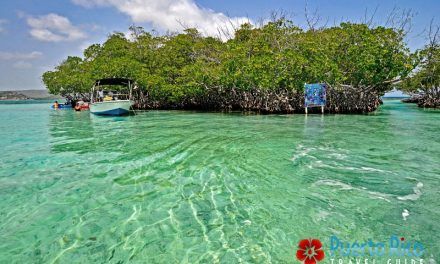 Isla Caja de Muertos Island - Puerto Rico - Guide w/ photos, top tours, attractions Parguera Puerto Rico, Beach Highlights, Puerto Rico Island, Puerto Rico Beaches, Bioluminescent Bay, Mangrove Forest, Budget Saving, Island Hopping, Best Beaches