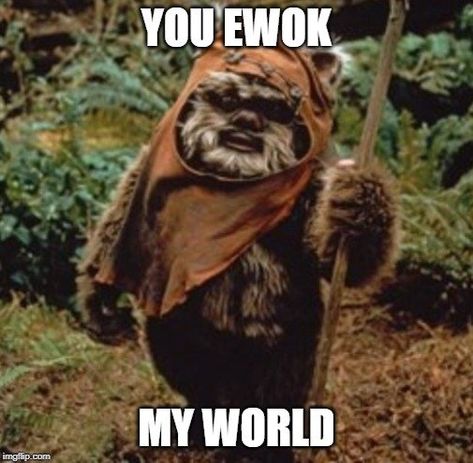 55+ Epic Star Wars Love Quotes that only geeks will understand. Perfect for Valentine's day, wedding, and anniversary cards. #starwarsquotes #starwarsart #lovequotes Star Wars Love Quotes, Star Wars Puns, Bear Meme, Warwick Davis, May The Fourth Be With You, May The Fourth, Star Wars Love, May The 4th Be With You, May The 4th