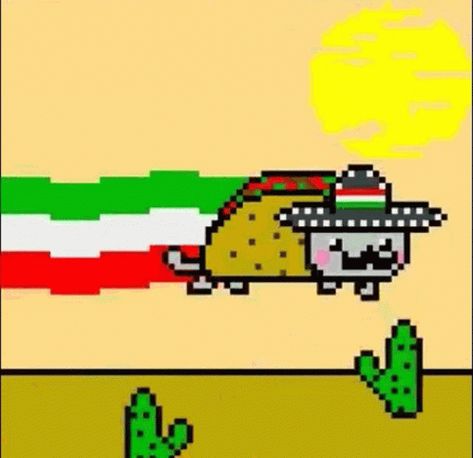 Nyan Cat Gif, Nya Cat, Cats Gif, Cat Flying, Cat Animated, Flying Cat, Taco Cat, Nyan Cat, Cat Gif