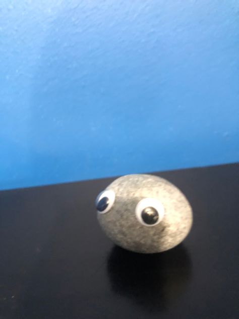 Rock Googly Eyes, Things With Googly Eyes, Googly Eye Art, Rocks With Googly Eyes, Rock With Googly Eyes, Damian Core, Eye Twitching, Holistic Health Remedies, Pet Rocks