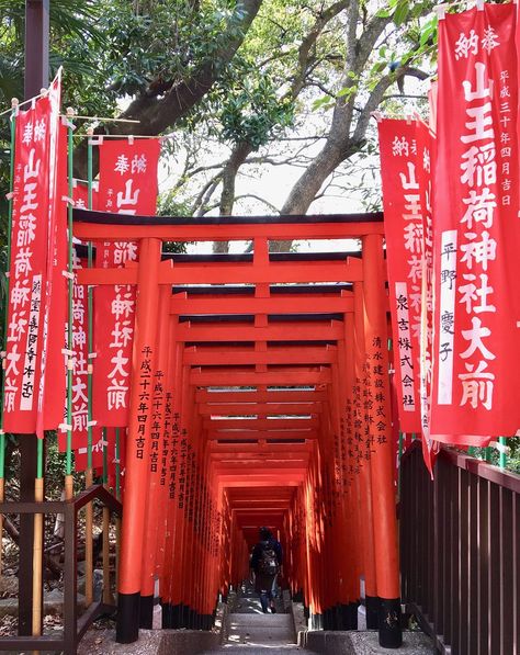 Want to see beautiful vermillion torii gates but hate tourists? Hit up Hie Shrine in Tokyo. #toriigates #vermilliongates #hieshrine #tokyo #shintoshrine #chiyoda Shinto Shrine Aesthetic, Hie Shrine, Hie Shrine Tokyo, Meiji Jingu Shrine Tokyo, Abandoned Shrine Japan, Shinto Shrine, Gate, Tokyo, Japan