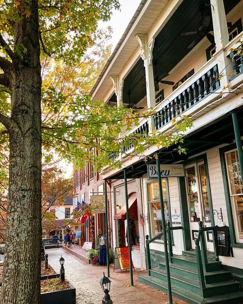 Helen to Dahlonega Fall Road Trip | Official Georgia Tourism & Travel Website | Explore Georgia.org Things To Do In Dahlonega Ga, Helen Georgia Fall, Dalonagha Georgia, Fall In Georgia, Dahlonega Georgia Things To Do, Georgia Road Trip, Georgia Getaways, Atlanta Trip, Ga Mountains