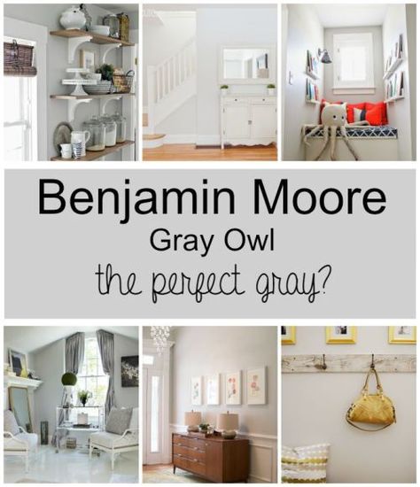 Benjamin Moore Gray Owl - the perfect gray for every room in your house! Paint Colors Gray, Benjamin Moore Gray Owl, Gray Owl Paint, Benjamin Moore Grey Owl, Perfect Grey Paint, Repose Gray Sherwin Williams, Benjamin Moore Gray, Interior Paint Colors Schemes, Grey Owl