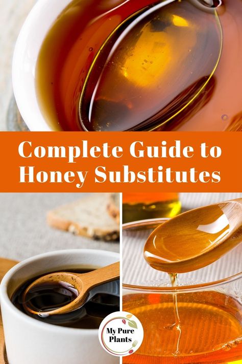 Substitute For Honey In A Recipe, Substitute For Honey, Vegan Honey Recipe, Corn Syrup Substitute, Honey Alternative, Honey Substitute, Cooking Substitutes, Vegan Honey, Honey Mustard Glaze