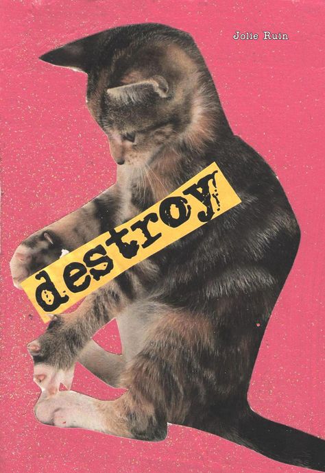 Trippy Cat, Jolie Ruin, Punk Cats, Arte Punk, Pet Style, Silly Cats, Room Posters, New Wall, Crazy Cat Lady