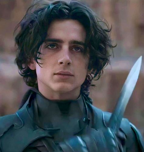 Dune Regulus Acturus Black, Leto Atreides, Dune Film, Beau Film, Paul Atreides, Timmy T, Regulus Black, All The Young Dudes, The Perfect Guy