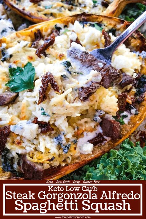 Gorgonzola Cheese Recipes, Steak Gorgonzola Alfredo, Gorgonzola Alfredo, Alfredo Spaghetti Squash, Parmesan Alfredo Sauce, Alfredo Spaghetti, Olive Garden Alfredo Sauce Recipe, Steak Gorgonzola, Gorgonzola Recipes